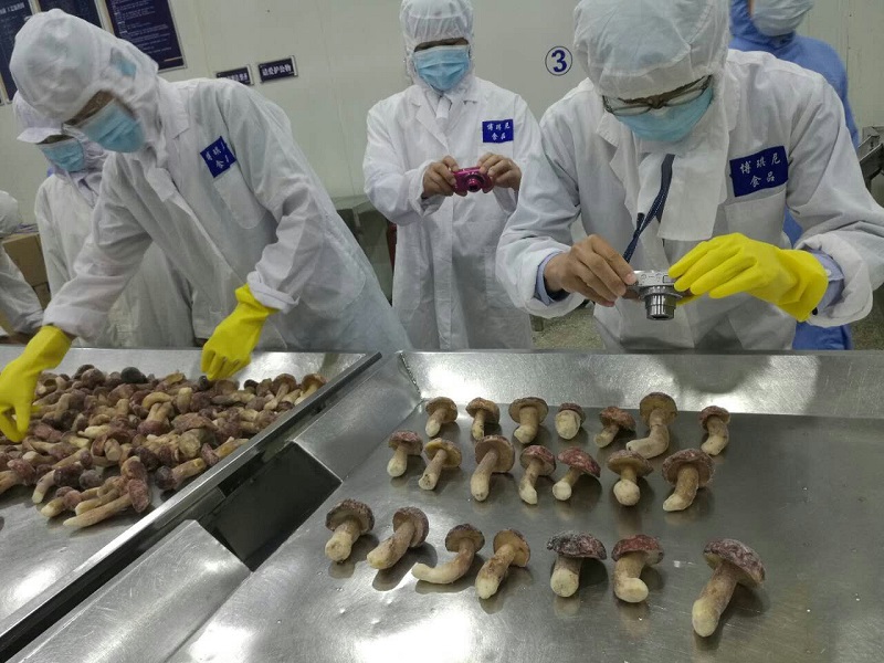 大理博琪尼食品有限公司 迎來(lái)了首批日本客商到廠實(shí)地考察 并簽訂供貨合同