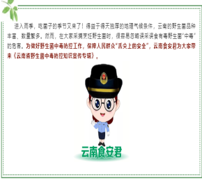 云南省野生菌中毒防控知識宣傳專輯——旅游篇